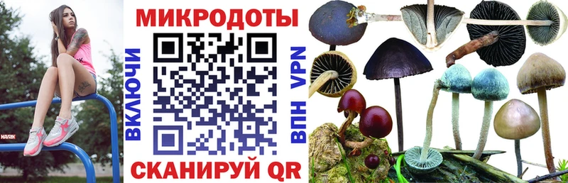 Галлюциногенные грибы мухоморы Ялта